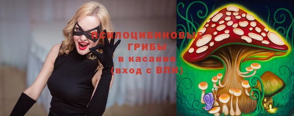 ALPHA PVP Иннополис