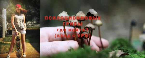 крисы Инсар