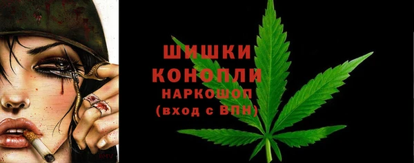 крисы Инсар