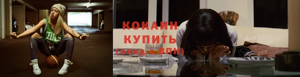 ALPHA PVP Иннополис