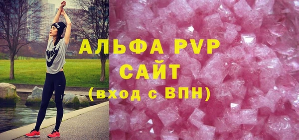 ECSTASY Инта