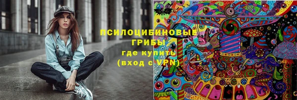 крисы Инсар