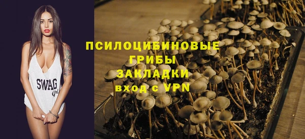 крисы Инсар