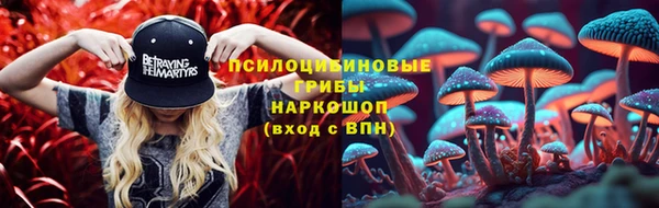 ALPHA PVP Иннополис