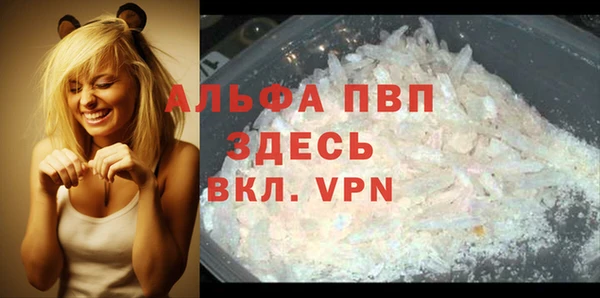 ECSTASY Инта
